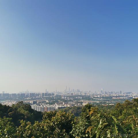 Jaxx于2022-12-13 10:35发布的图片