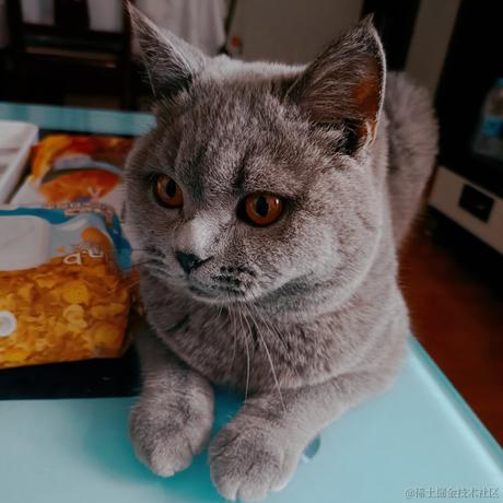 尤依莉于2022-06-21 09:34发布的图片