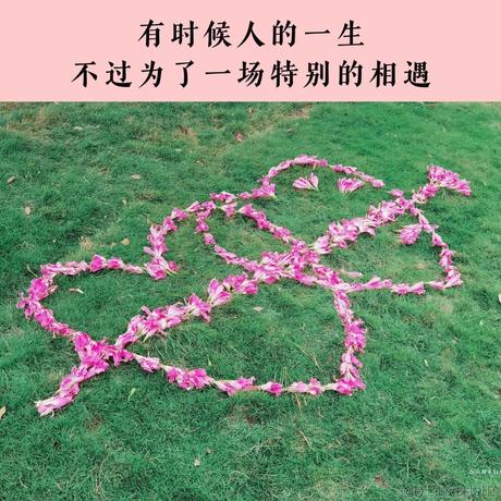 SsIi于2022-11-27 17:00发布的图片