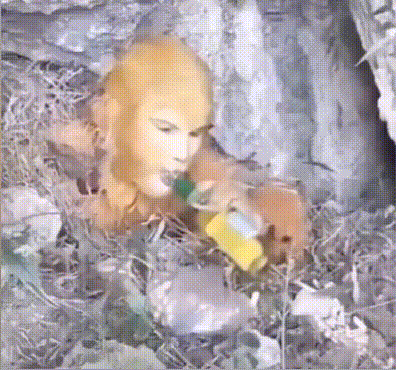 童颜无忌于2021-03-01 13:17发布的图片