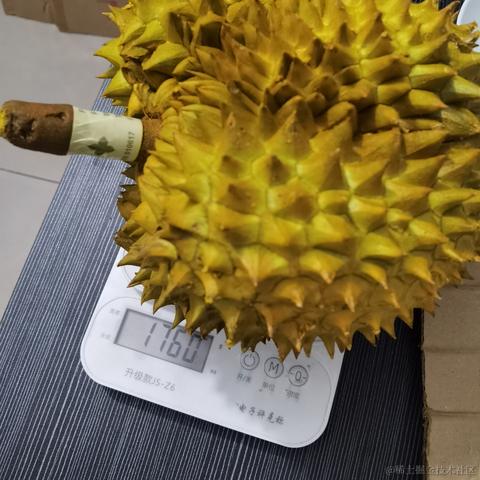 YZ于2024-05-14 10:47发布的图片