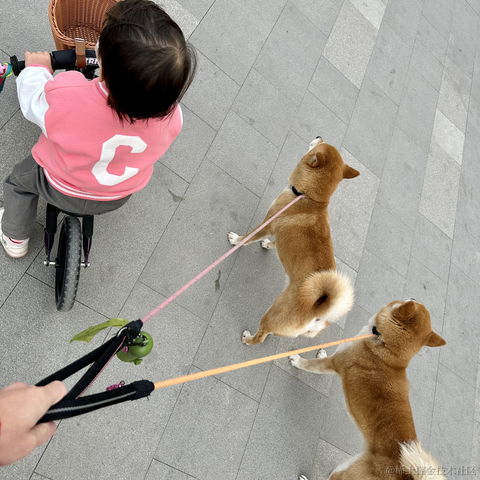 旧事随风于2023-03-05 22:31发布的图片