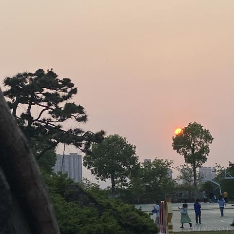 user许于2023-04-11 22:41发布的图片