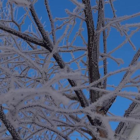 w减速再走_于2022-11-18 13:34发布的图片