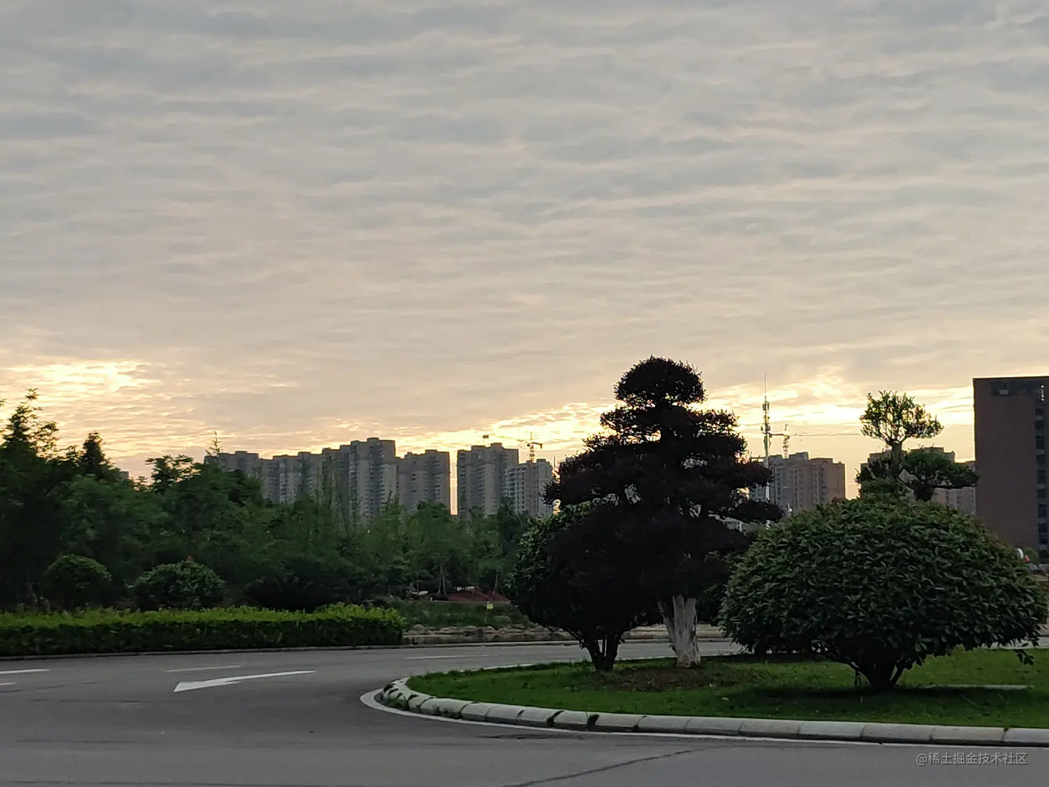 P10604-181633.jpg