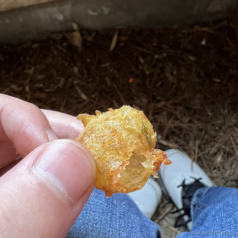 tree_于2023-01-18 16:14发布的图片