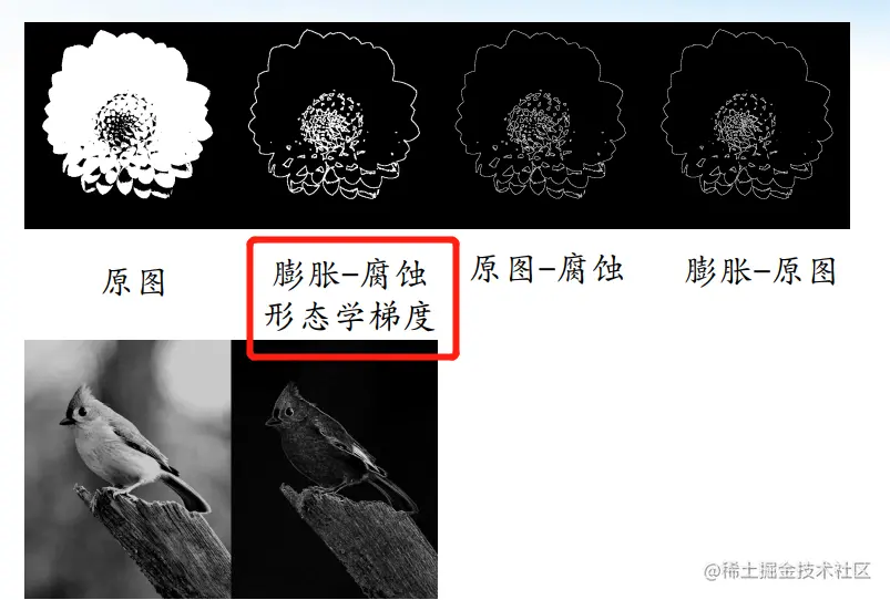 数图_形态学梯度,简单认为就是膨胀-腐蚀.png