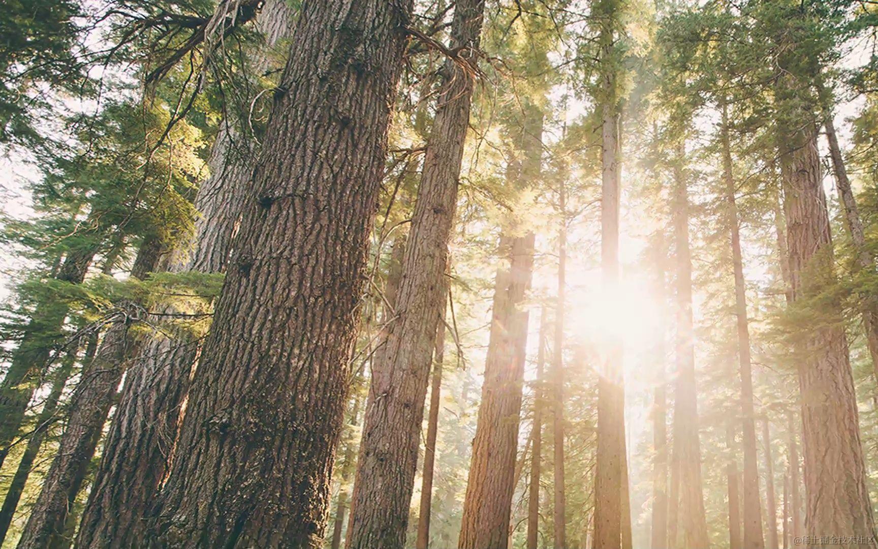 Swoole与Go系列教程