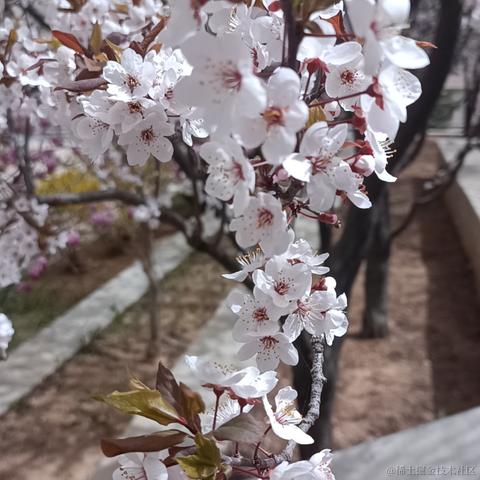 Grong于2023-04-15 13:58发布的图片