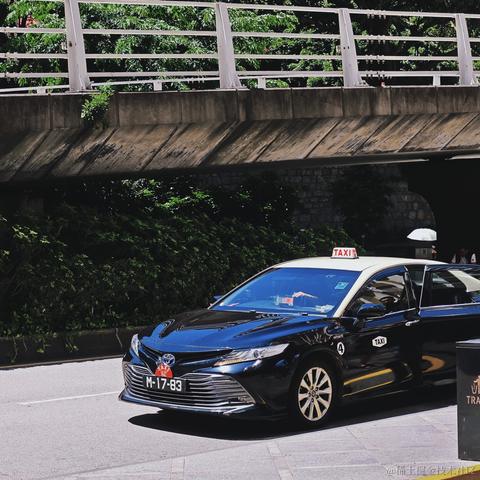 Uz于2024-07-15 12:03发布的图片