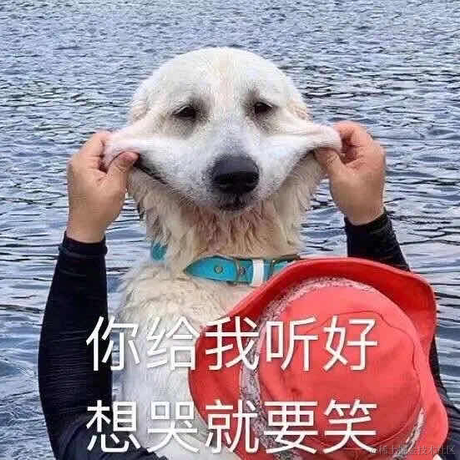 梦想家_于2021-05-20 08:43发布的图片