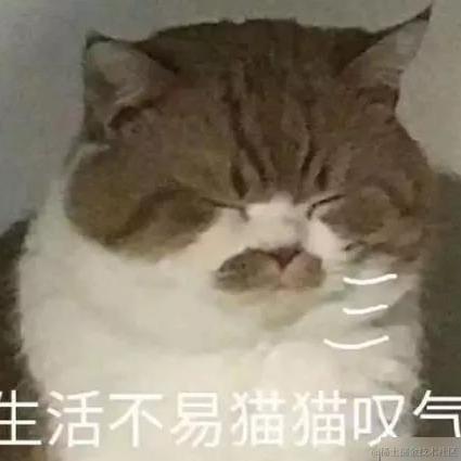 瓜瓜瓜鸟于2021-02-08 09:04发布的图片