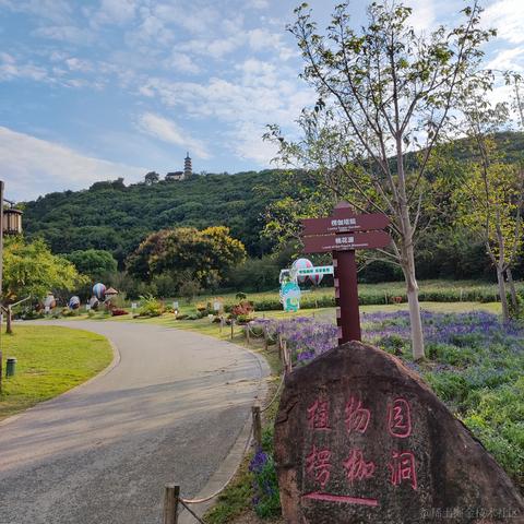 优秀稳妥的金枪小魔王于2022-09-26 09:26发布的图片