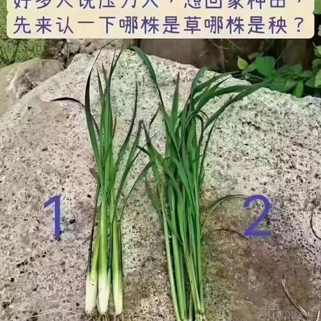哼_于2022-05-31 14:51发布的图片