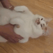 于2023-02-15 10:49发布的图片