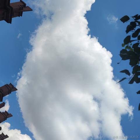 向晚的妻子于2022-11-15 16:50发布的图片