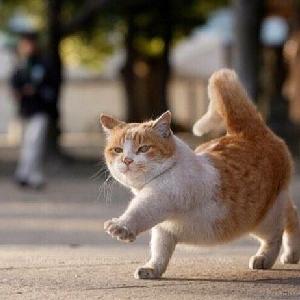 Mr_Wang于2022-02-28 09:24发布的图片