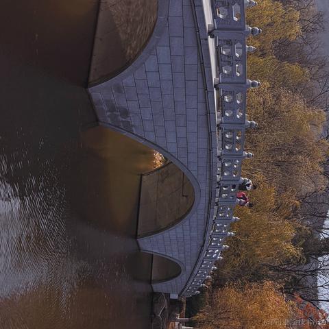 小栗帽永远的神于2022-11-20 11:47发布的图片