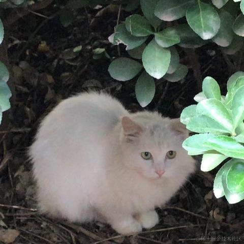 Aly于2021-12-24 08:41发布的图片