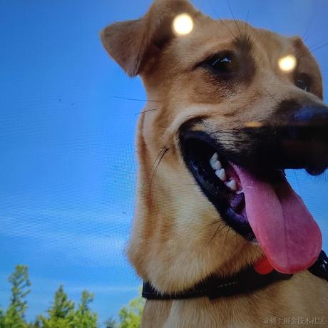 八哥的温柔乡于2022-12-20 15:02发布的图片