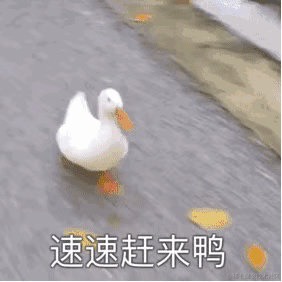 _MAT_于2021-02-05 15:53发布的图片