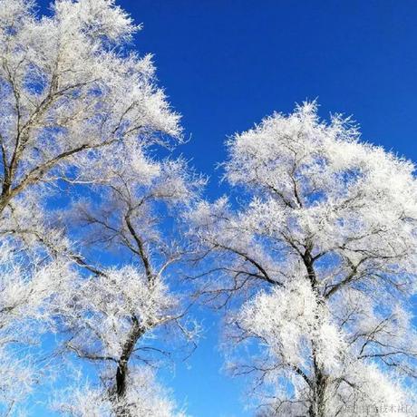 Sarah_于2023-12-07 10:48发布的图片