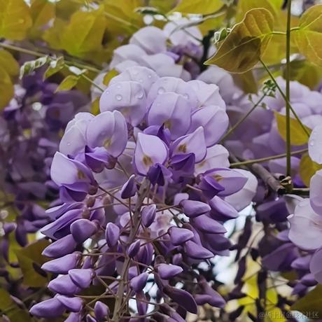 吃鱼的不一定是猫于2024-04-02 12:17发布的图片