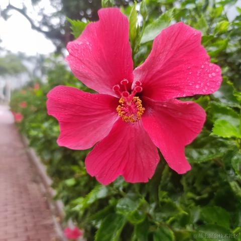 猫雷最强于2022-11-23 14:34发布的图片