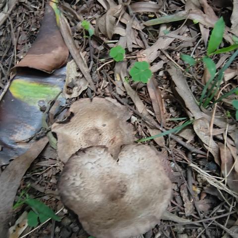 Uwiling于2022-12-01 21:16发布的图片