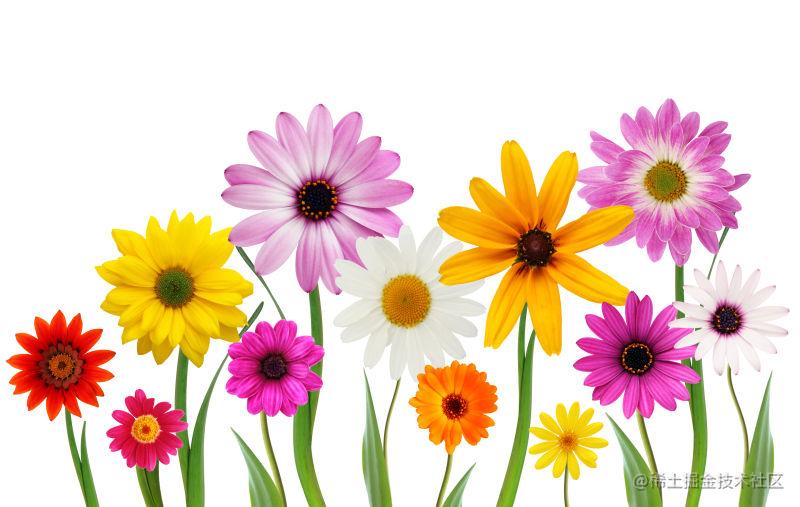 资源管理和调度