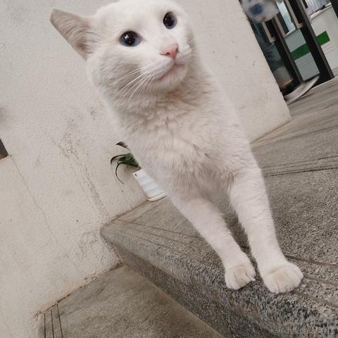 小绵羊呀于2023-05-05 23:53发布的图片