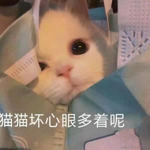我他喵的杀杀杀于2021-02-05 09:47发布的图片