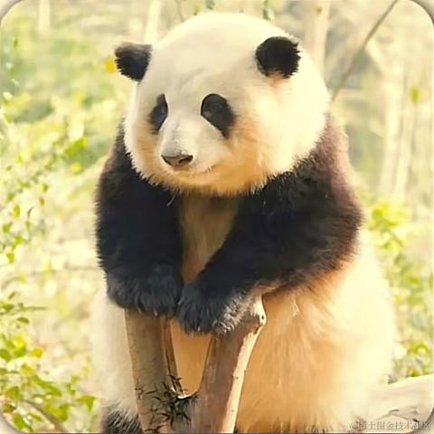 夏夜雨微凉于2023-06-05 07:18发布的图片