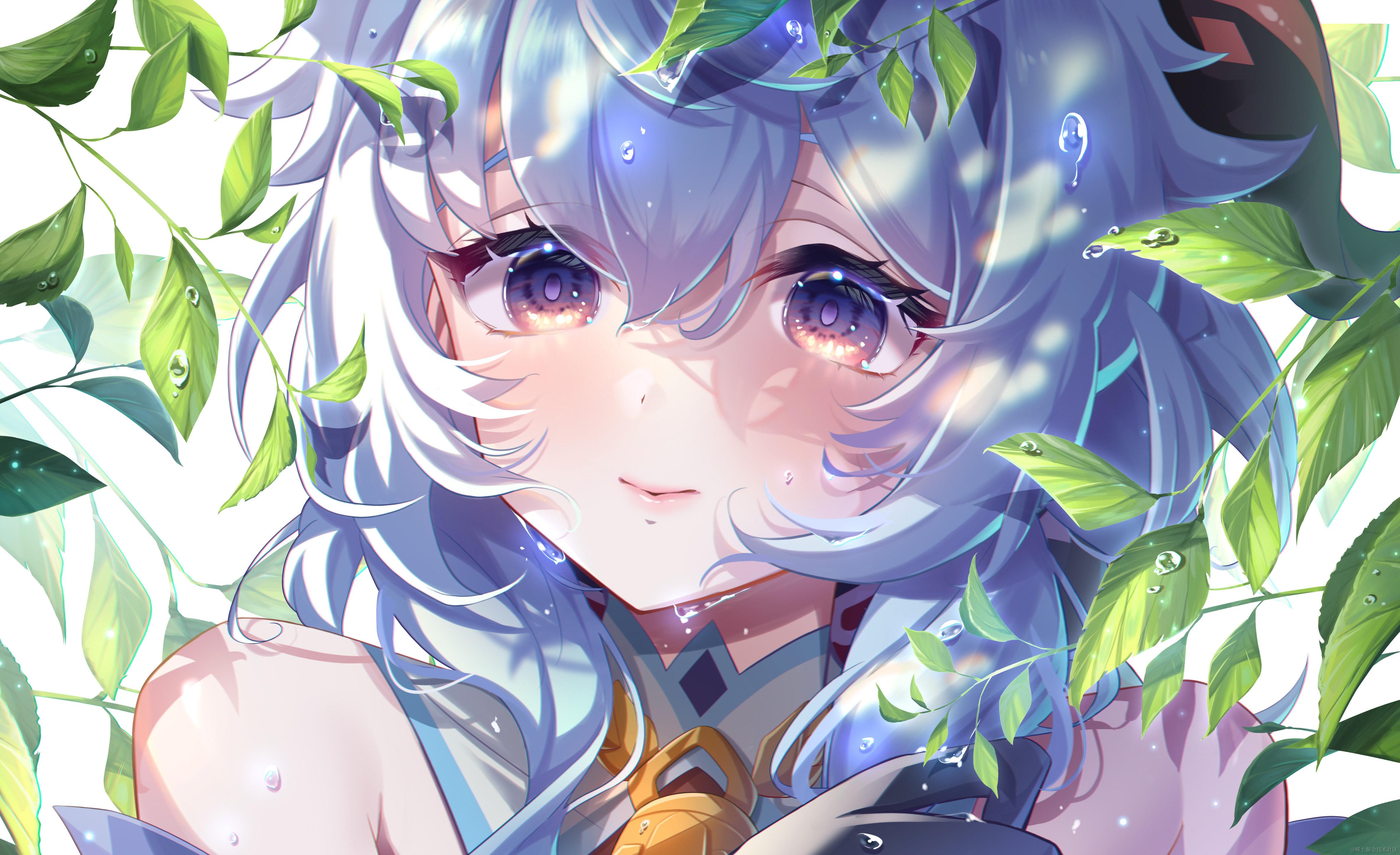 acm思维题，板子题