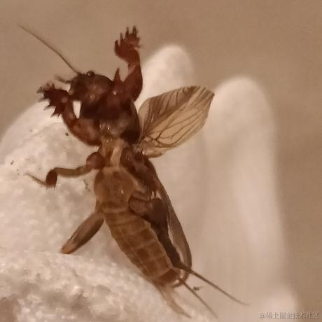 跟我一起秃秃秃于2022-12-07 09:23发布的图片