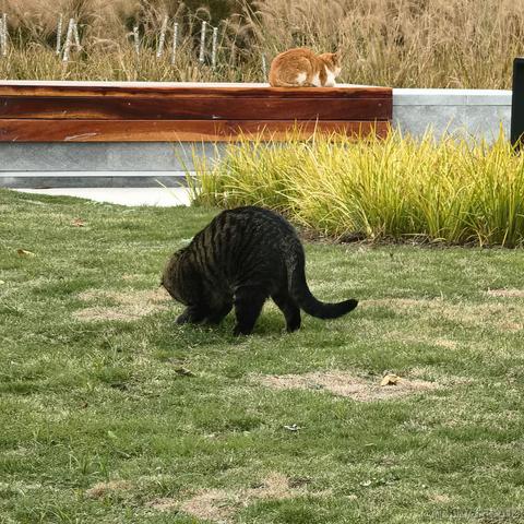 小栗帽永远的神于2022-11-21 10:33发布的图片