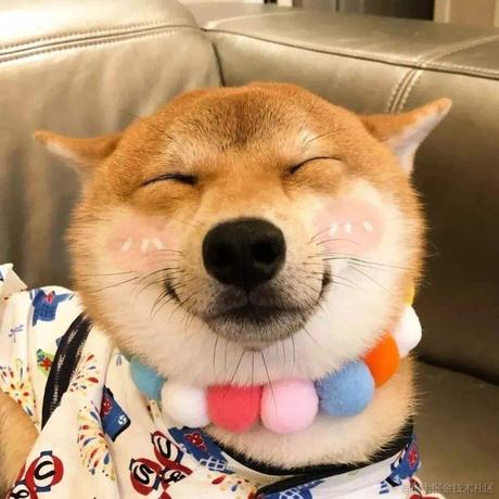 小汪不吃香菇于2022-07-08 09:53发布的图片