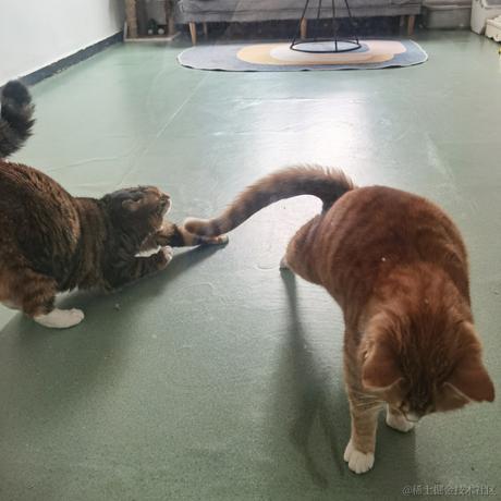 二十一一于2023-04-22 21:34发布的图片