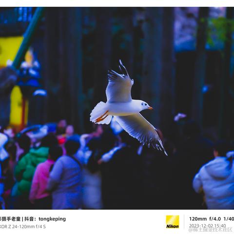 光影童于2023-12-11 11:15发布的图片