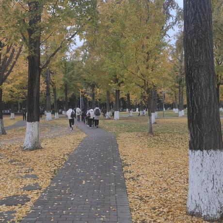 cMc于2022-11-30 16:13发布的图片