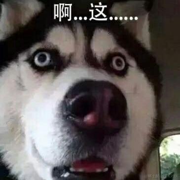 Reloading_转行保险了于2024-04-13 17:24发布的图片
