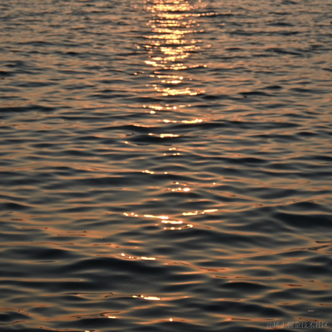半夏1024于2023-03-01 15:23发布的图片