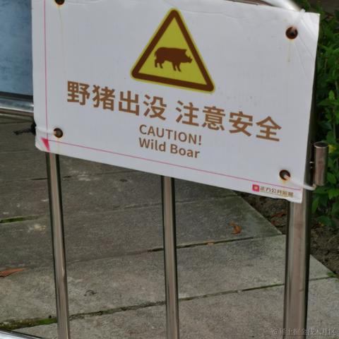 1145141919810于2023-06-19 18:05发布的图片
