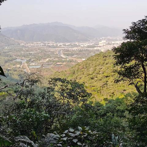 Wei于2022-11-23 23:35发布的图片