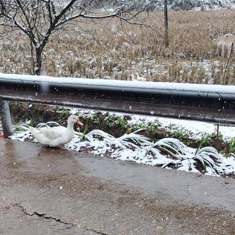 李秋秋于2023-01-15 10:50发布的图片