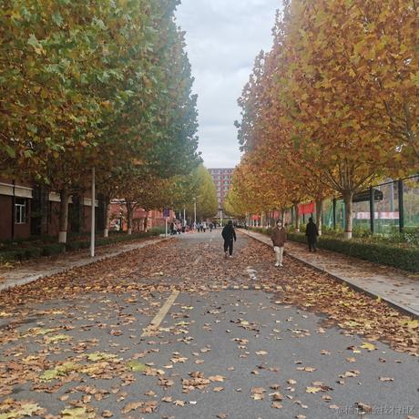 adt于2022-11-12 12:25发布的图片