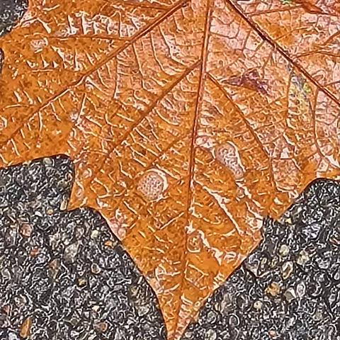 乃宝妈妈爱你于2022-11-23 17:48发布的图片