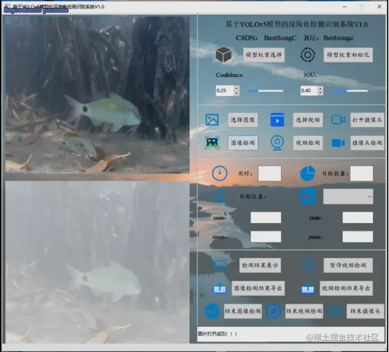 高精度深海鱼目标检测识别系统2057.png