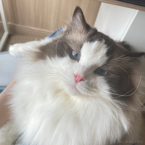 端盘花生米于2022-05-27 12:32发布的图片