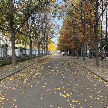 青梅竹马邻家向晚于2022-11-20 22:10发布的图片